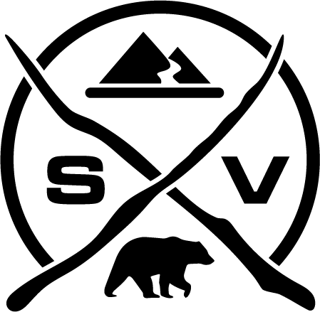 Surveyor